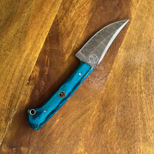 Load image into Gallery viewer, Arbor Novo Damascus Steel Jaguar Teal Small Fixed Blade